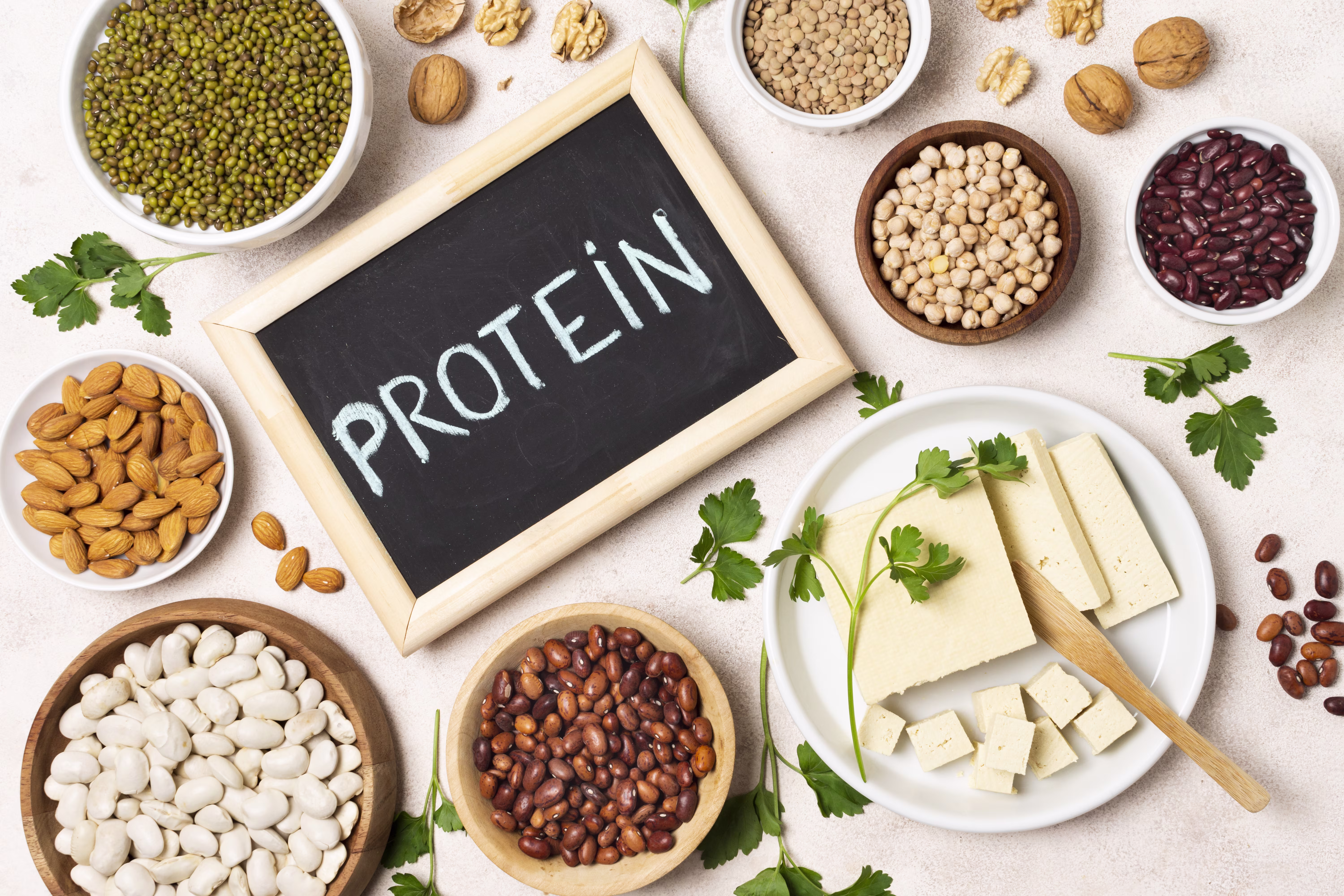 plant-based protein