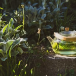Herbal bedtime drinks in a teapot surrounded by greenery and natural sunlight