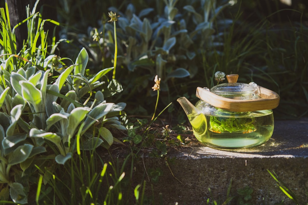 best bedtime drinks for sleep