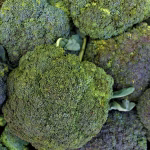 Fresh broccoli florets, a cruciferous vegetable studied for its potential role in supporting healthy blood pressure